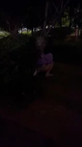 0551交换遛狗